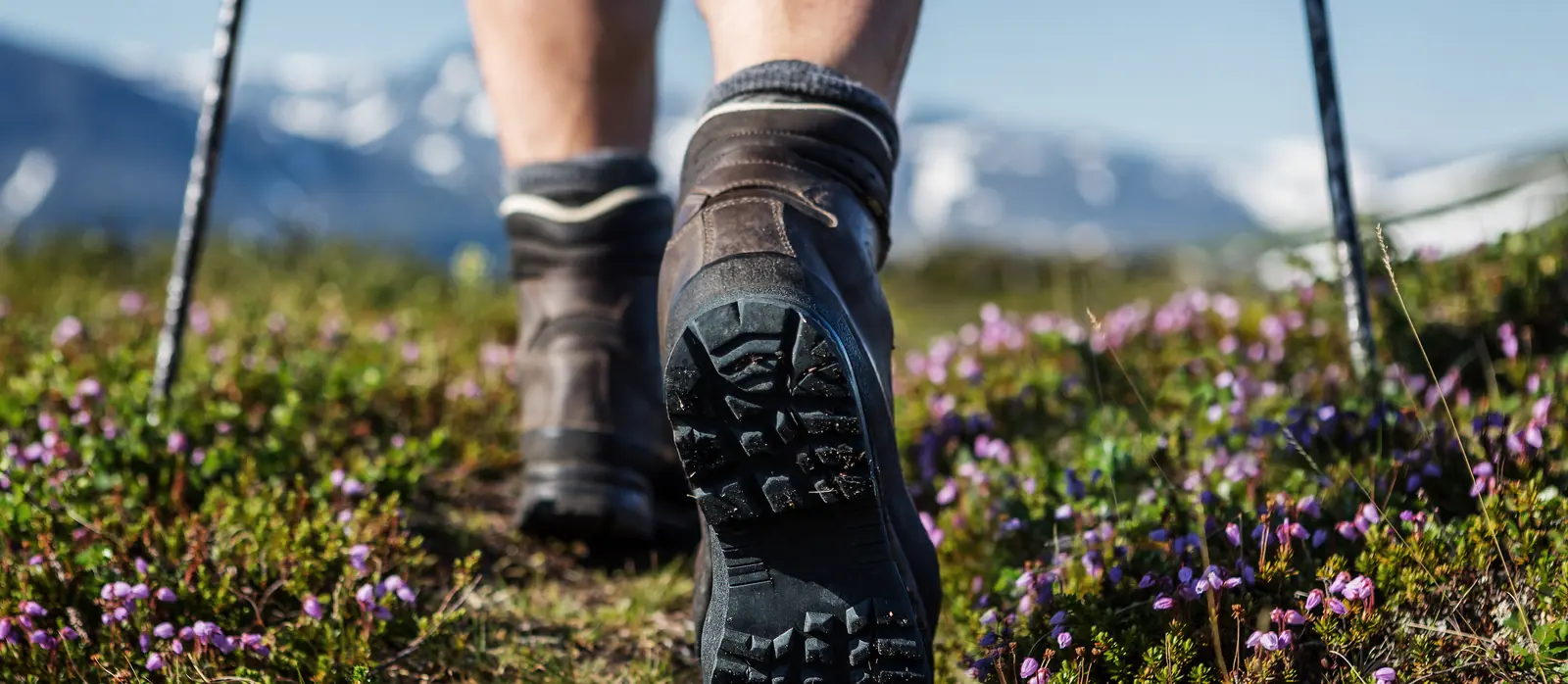 Wanderstiefel und Trekkingstöcke auf einem blühenden Bergpfad
