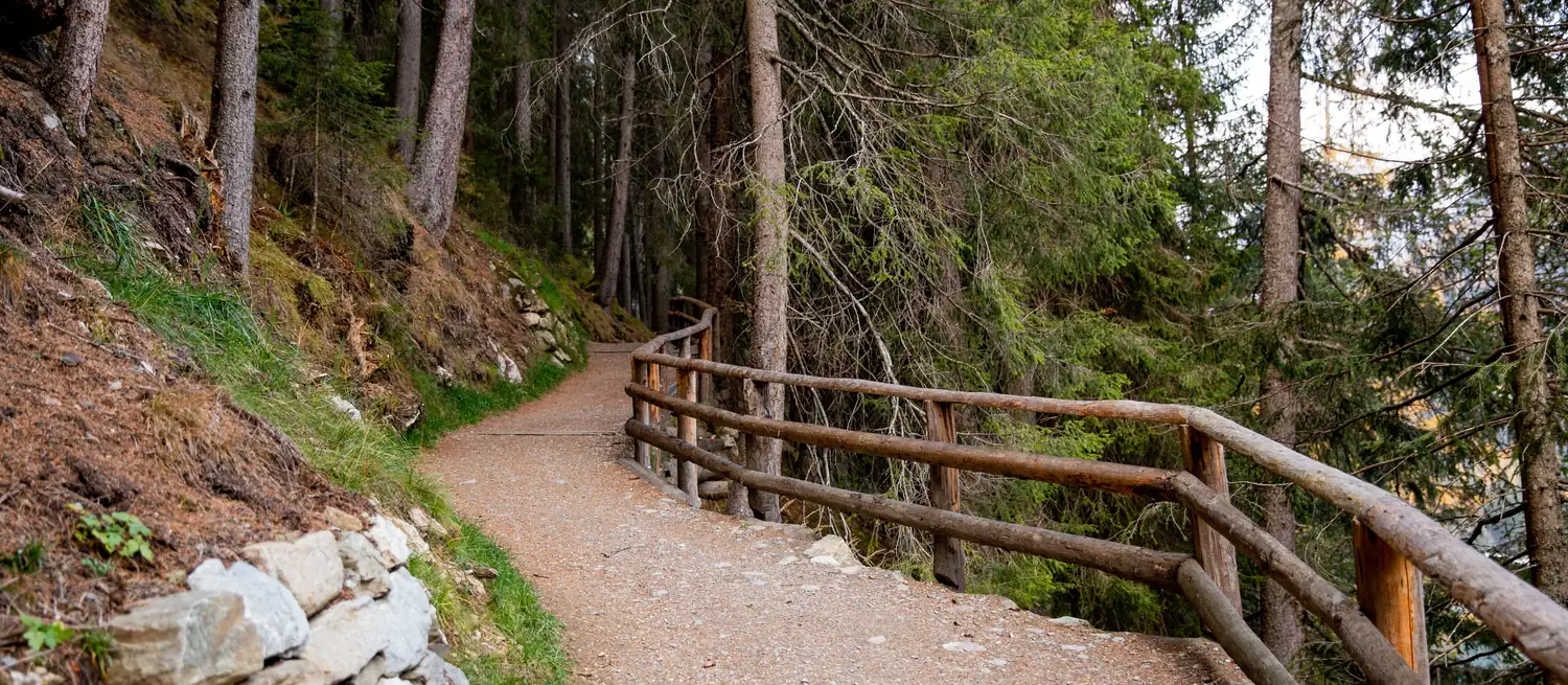 Gut begehbarer Wanderweg mit Holzgeländer durch den Wald