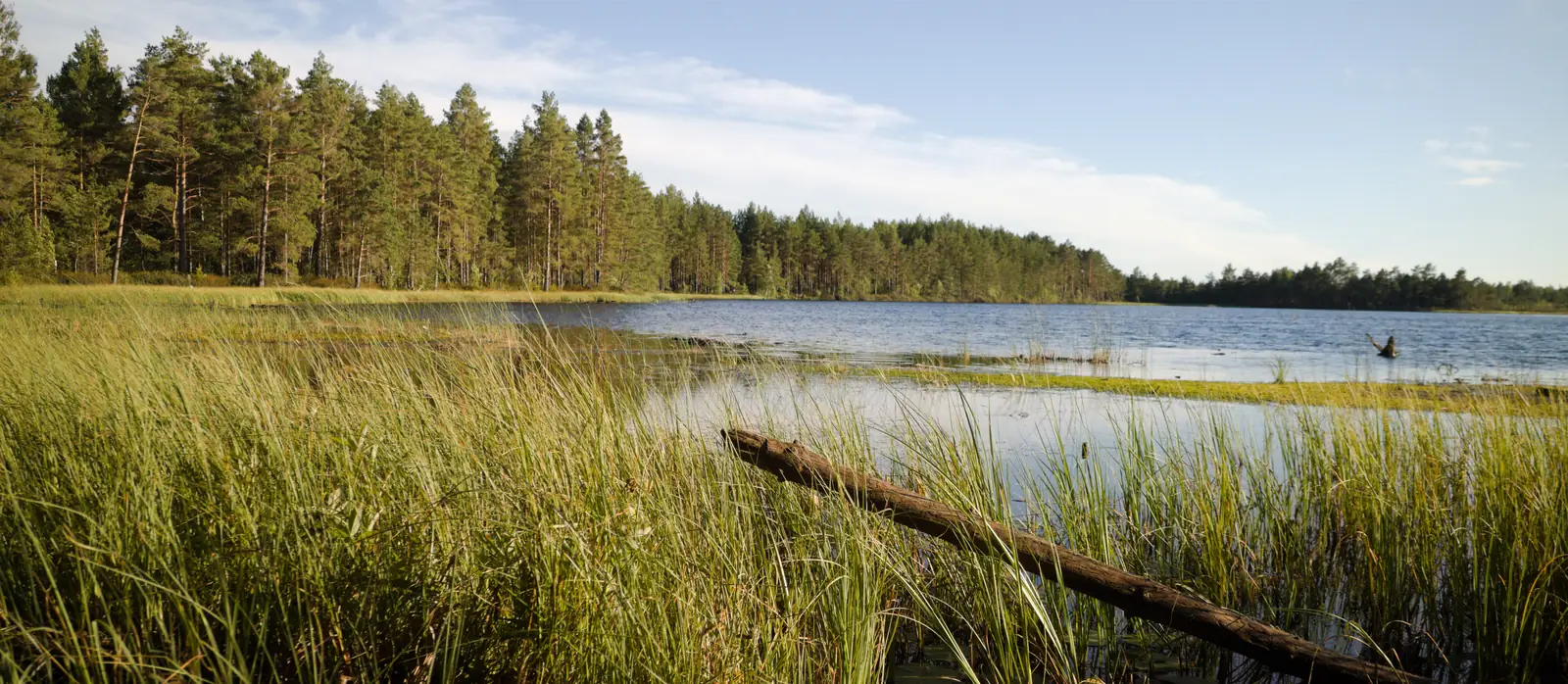 Ruhige Naturlandschaft