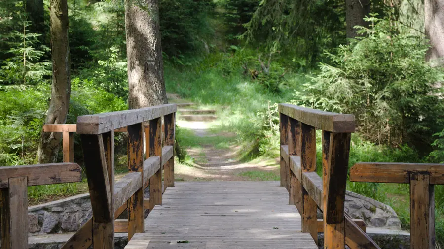 Bohlenweg durch eine Naturlandschaft